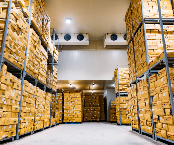 Detailed Cold Storage Management