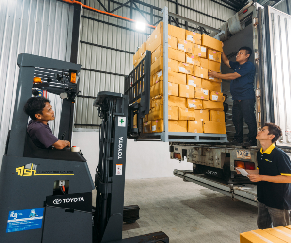 Import & Route-To-Market